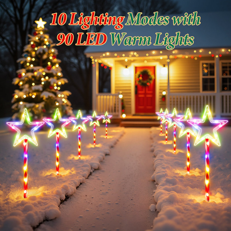 The Holiday Aisle® Christmas Decorations Outdoor, Twinkling Big